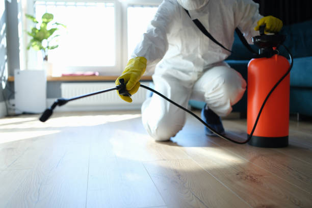 Reliable Biohazard Cleanup contractor in Santa Cruz, CA by Trauma Clean Pros